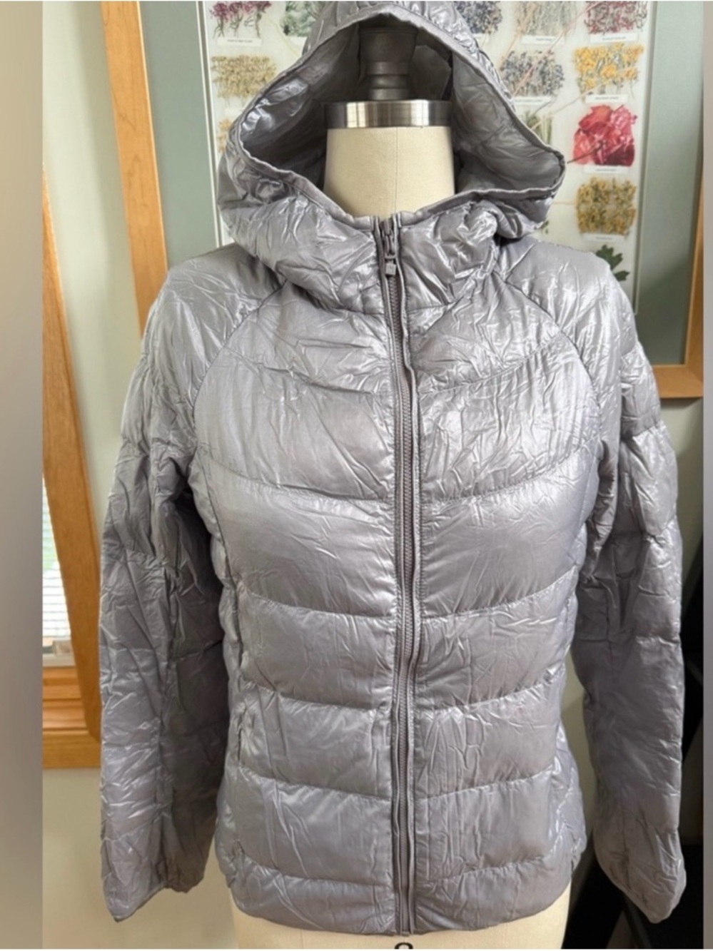 Uniqlo Silver Down/feather Puffer
Jacket with Hood